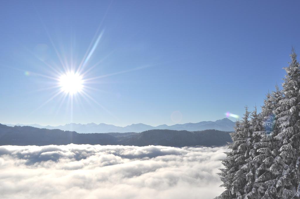 Mathiasl Panorama Ferienwohnungen ボーデンスドルフ 部屋 写真